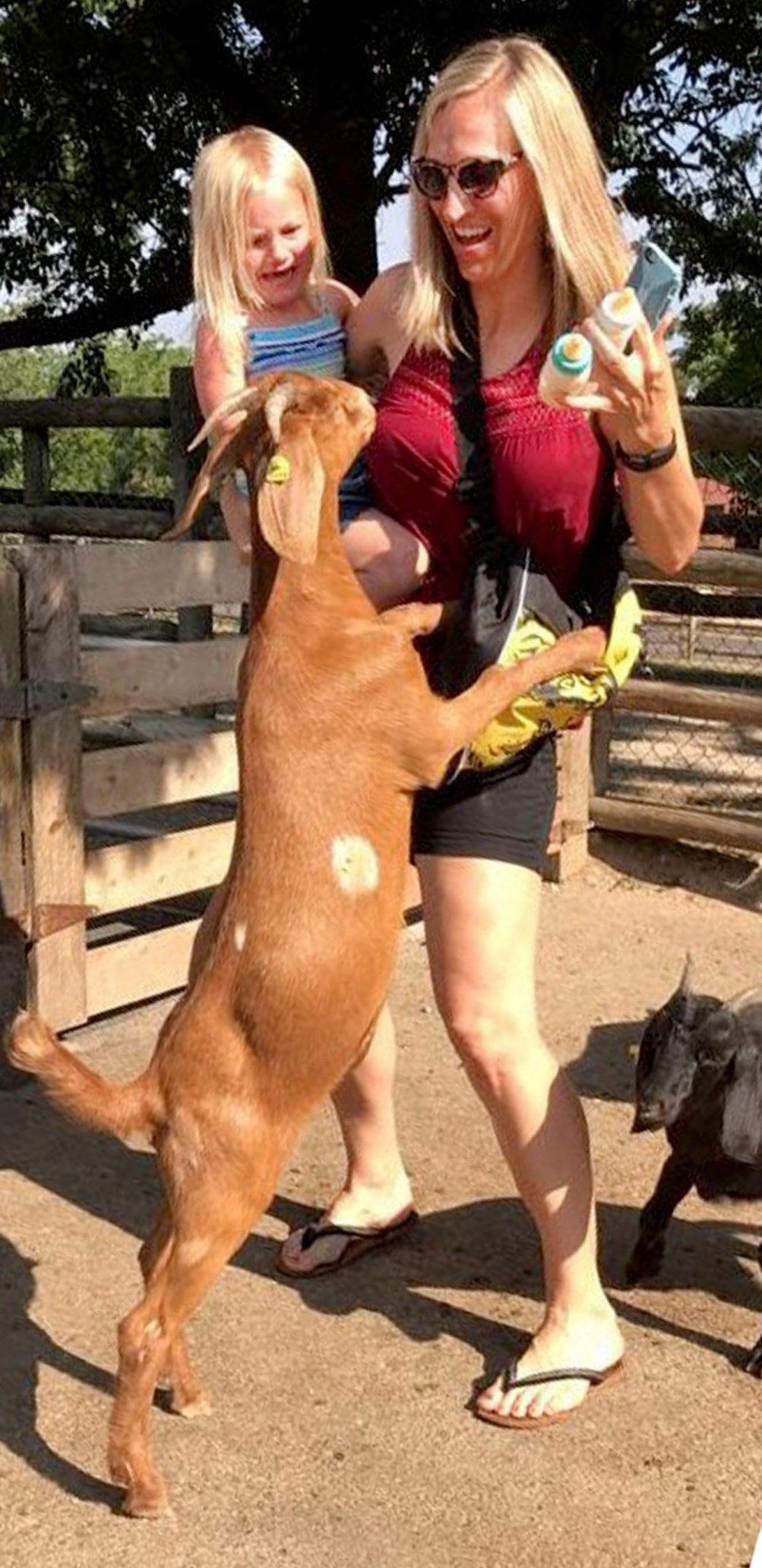 Get him off, mom!